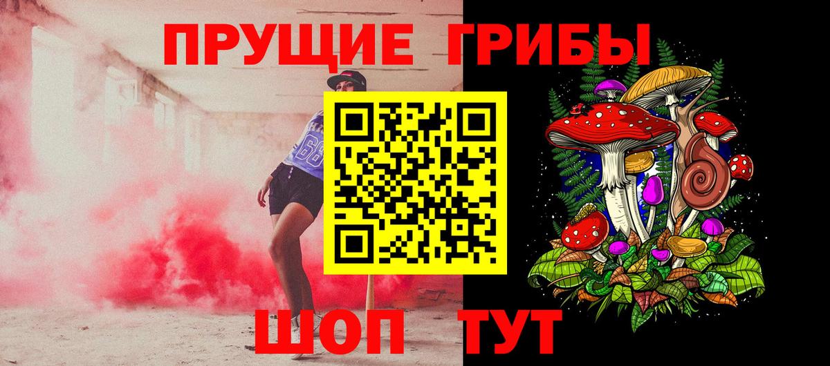 Псилоцибиновые грибы Psilocybe Советский