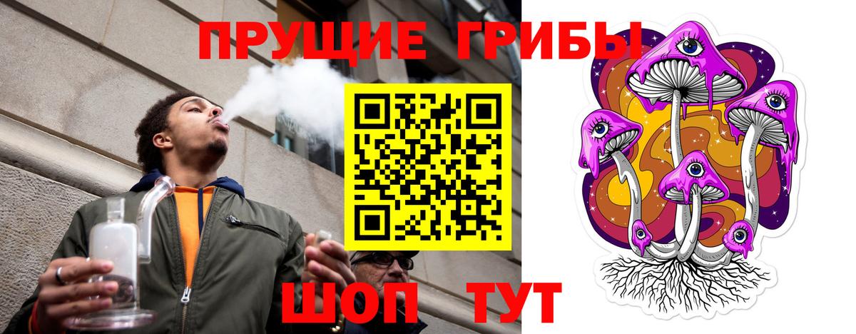 Псилоцибиновые грибы Psilocybe  Вход с VPN  Советский 